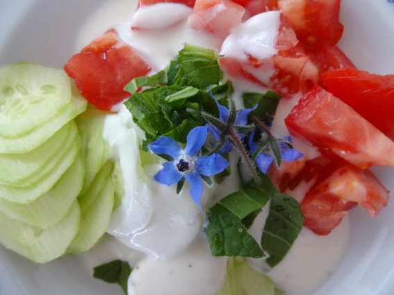 DSC00251 DSC00251